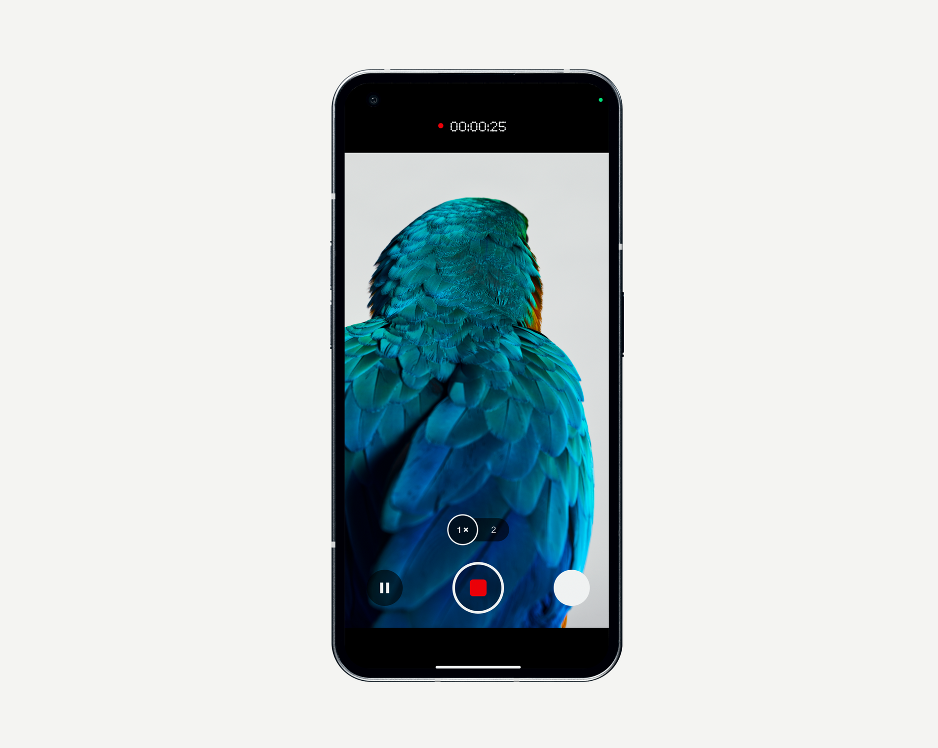 Nothing Phone (1)